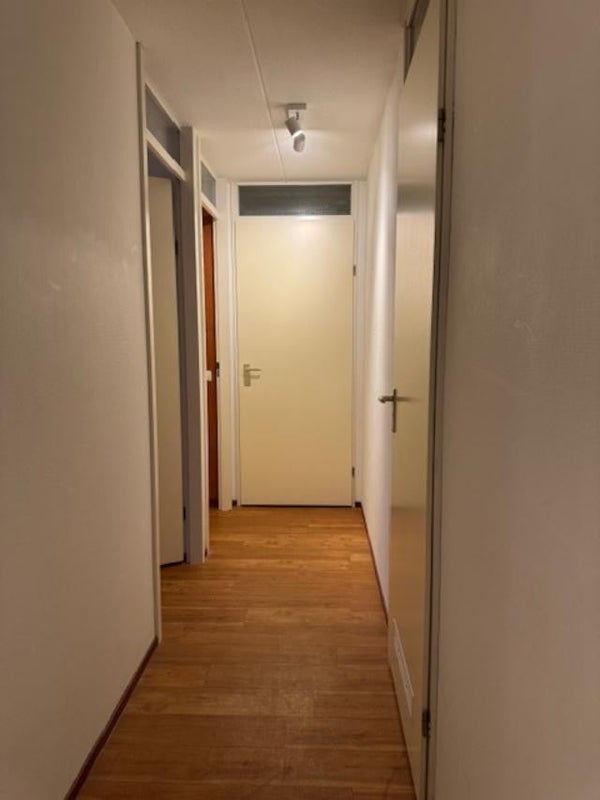 Te huur Appartement Ruychaverstraat in Haarlem