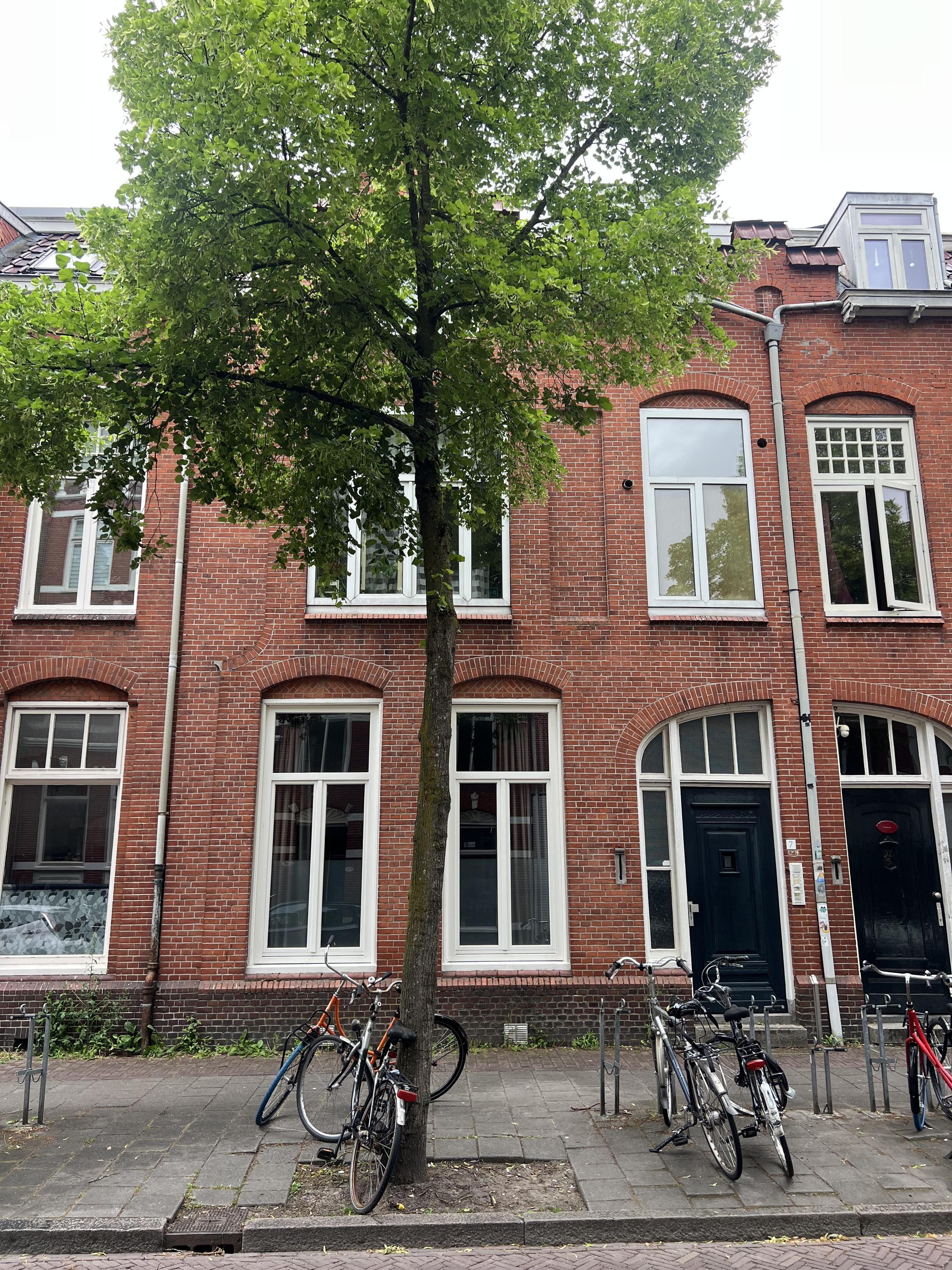 Room Jozef Israëlsstraat 7