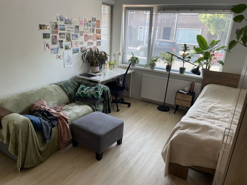 Studio Groenstraat