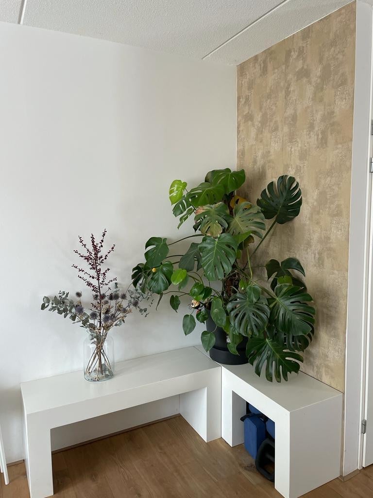 Woning te huur: Jan Vrijmanstraat, Amsterdam