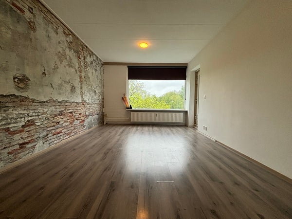 Flat Ruigoord 72 in Rotterdam