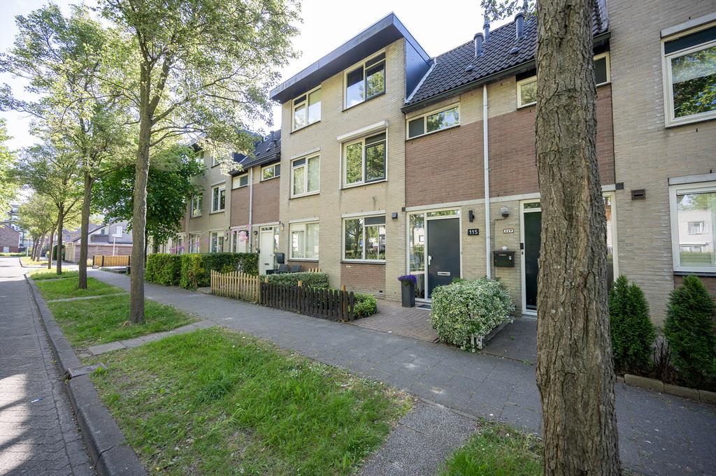 House Springendallaan
