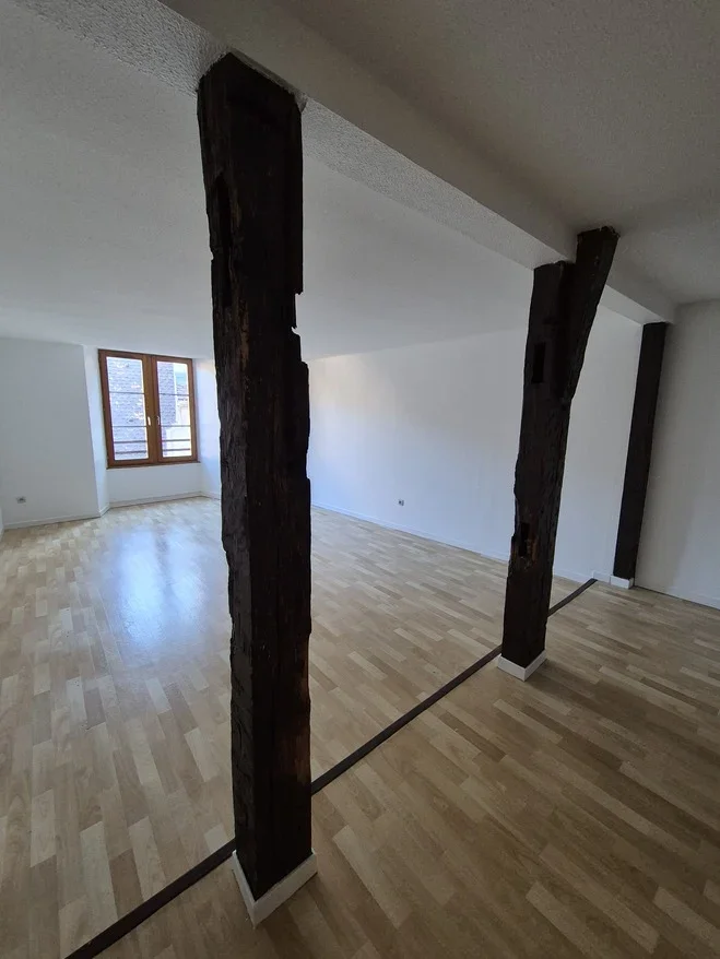 Flat Rue du Mouton in Colmar
