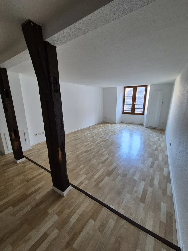 Flat Rue du Mouton in Colmar