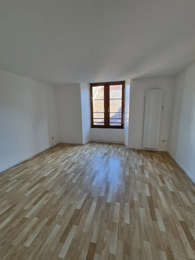 Flat Rue du Mouton in Colmar