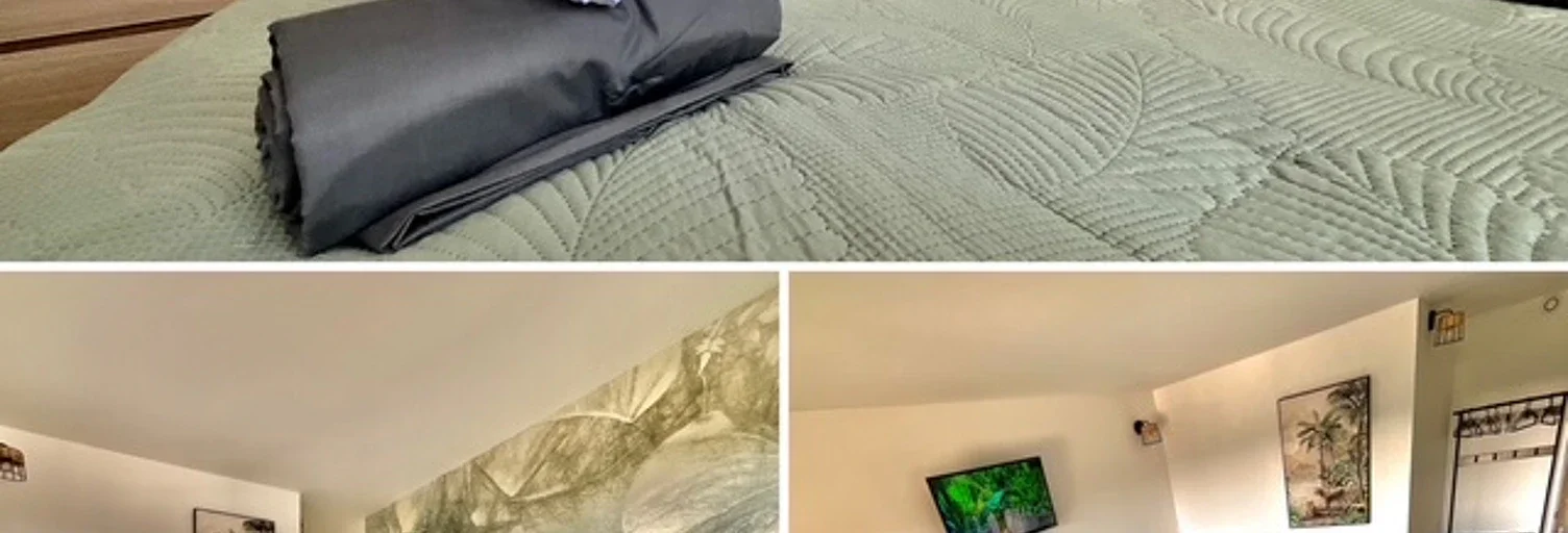 Chambre Boulevard de Larramet à Toulouse