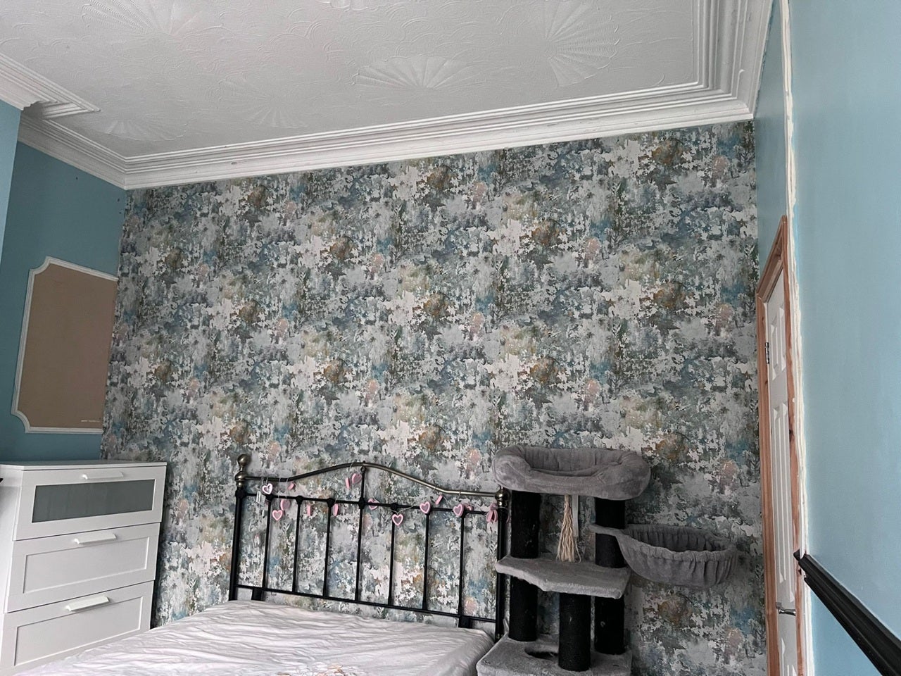 Room Coedcae Street in Cardiff
