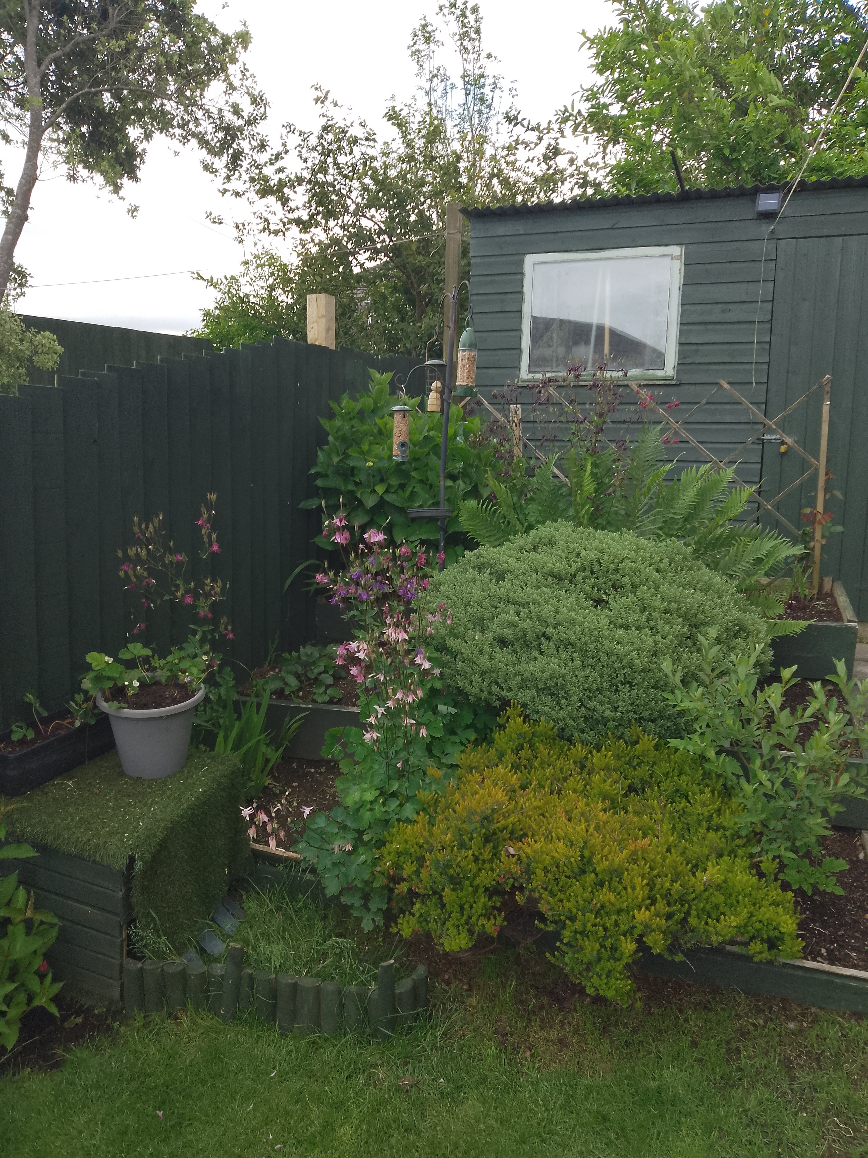 House Carworgie Way in Indian Queens