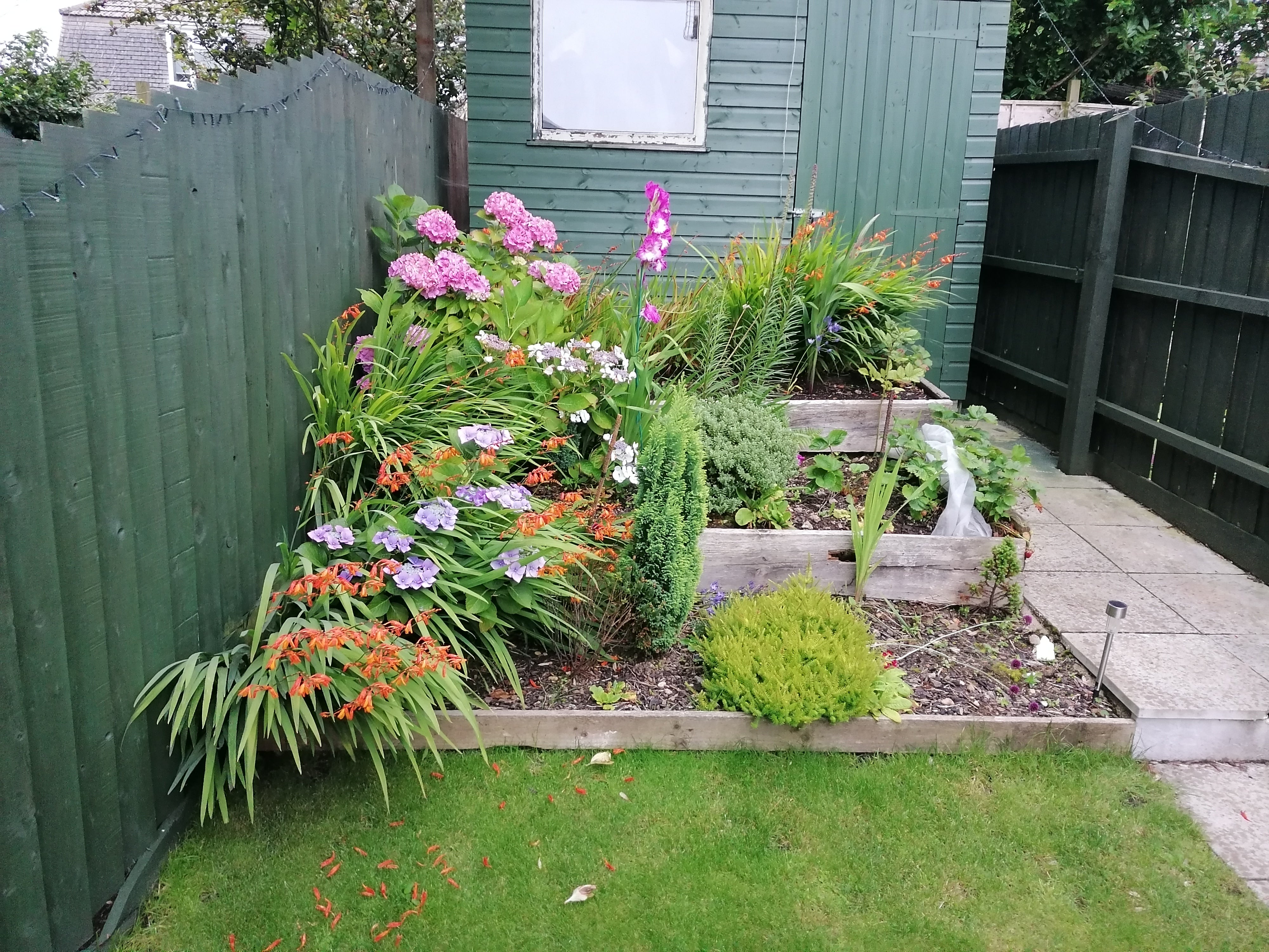 House Carworgie Way in Indian Queens