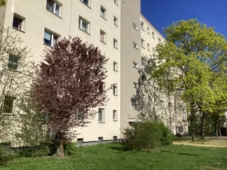 Wohnung Südekumzeile in Berlin