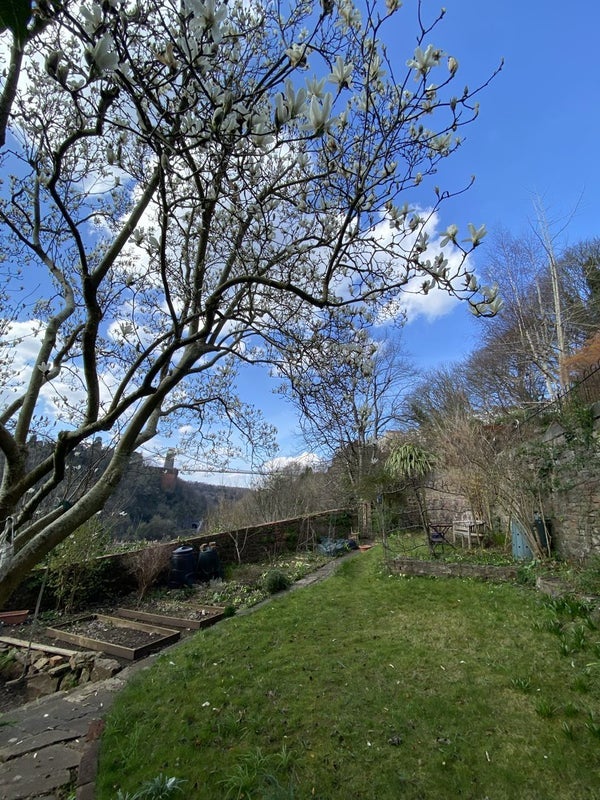 Flat Windsor Terrace in Bristol