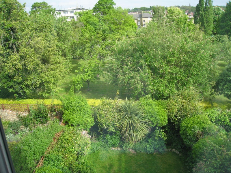 Room Croftdown Road in Greater London