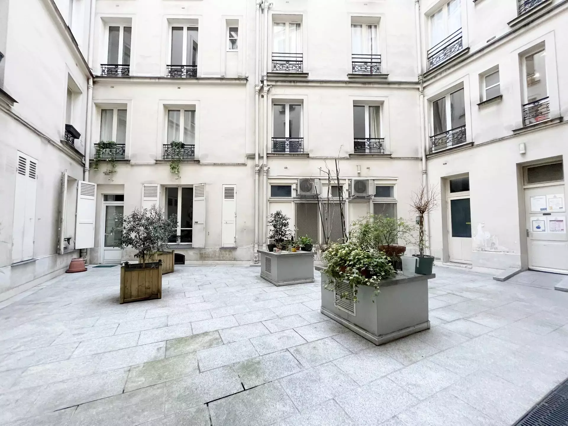 Flat Rue Littré in Paris