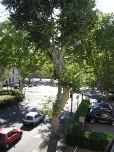 Appartement Avenue de la Synagogue à Avignon