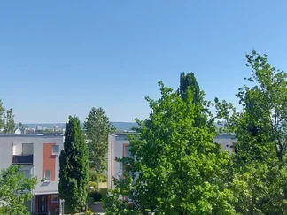 Wohnung Heinz-Bongartz-Straße in Dresden