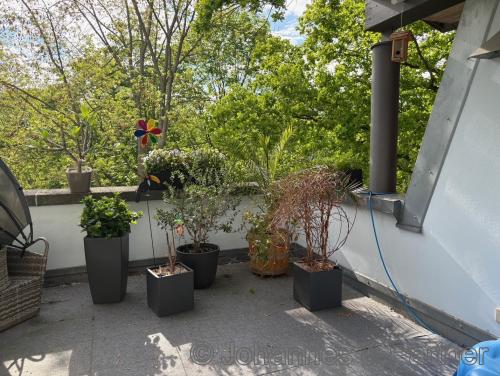 Wohnung Zur Wetterwarte in Dresden