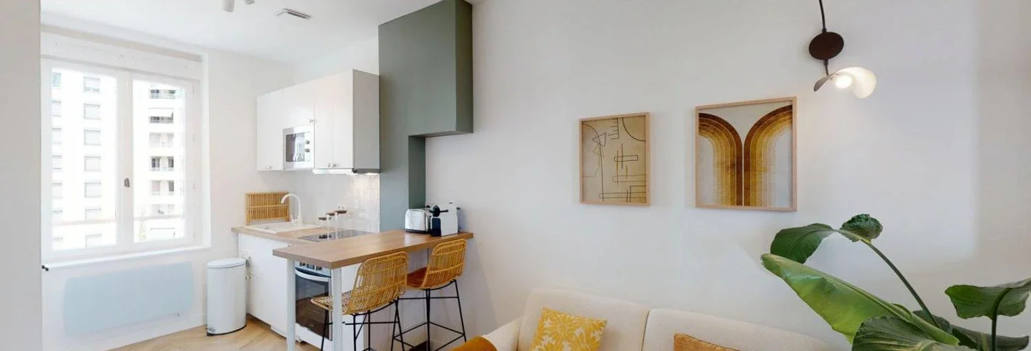 Flat Rue Édouard Vaillant in Villeurbanne