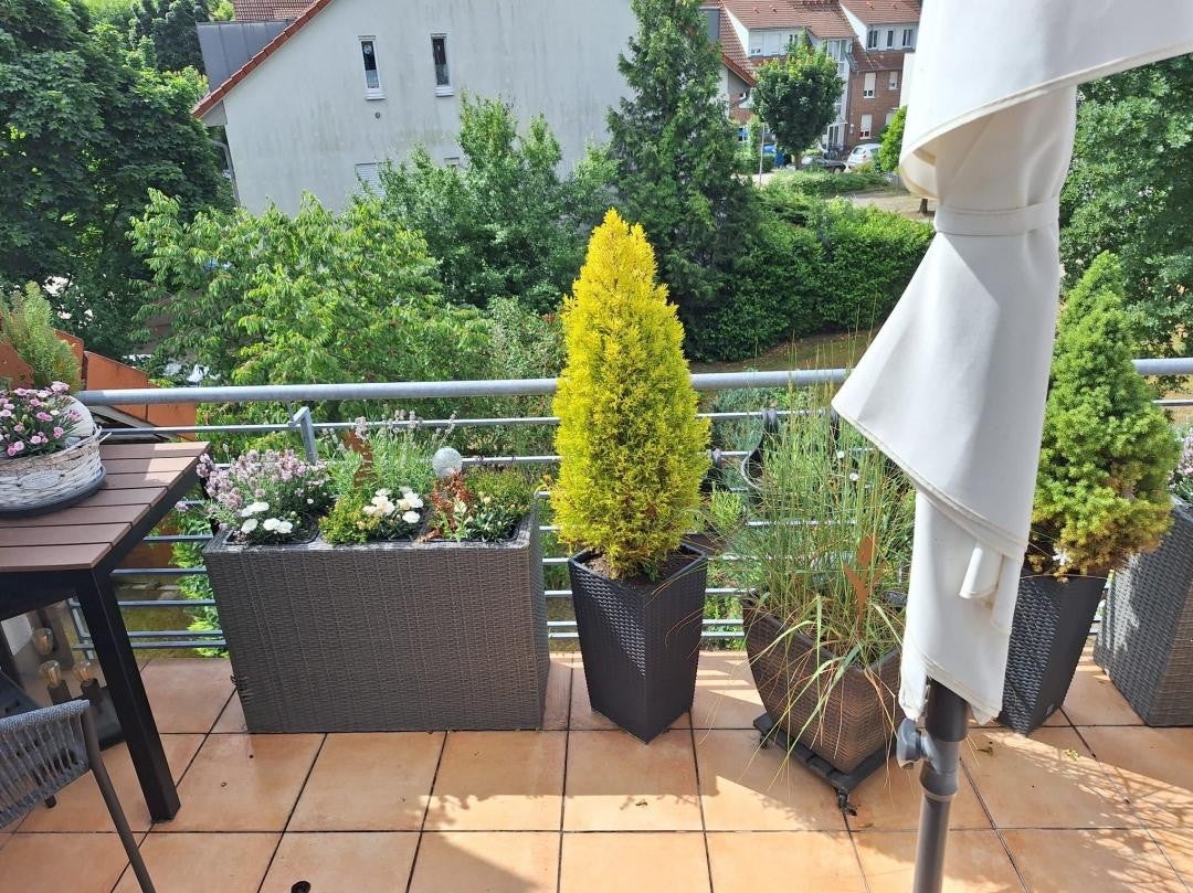 Wohnung Waldblick in Ludwigsfelde