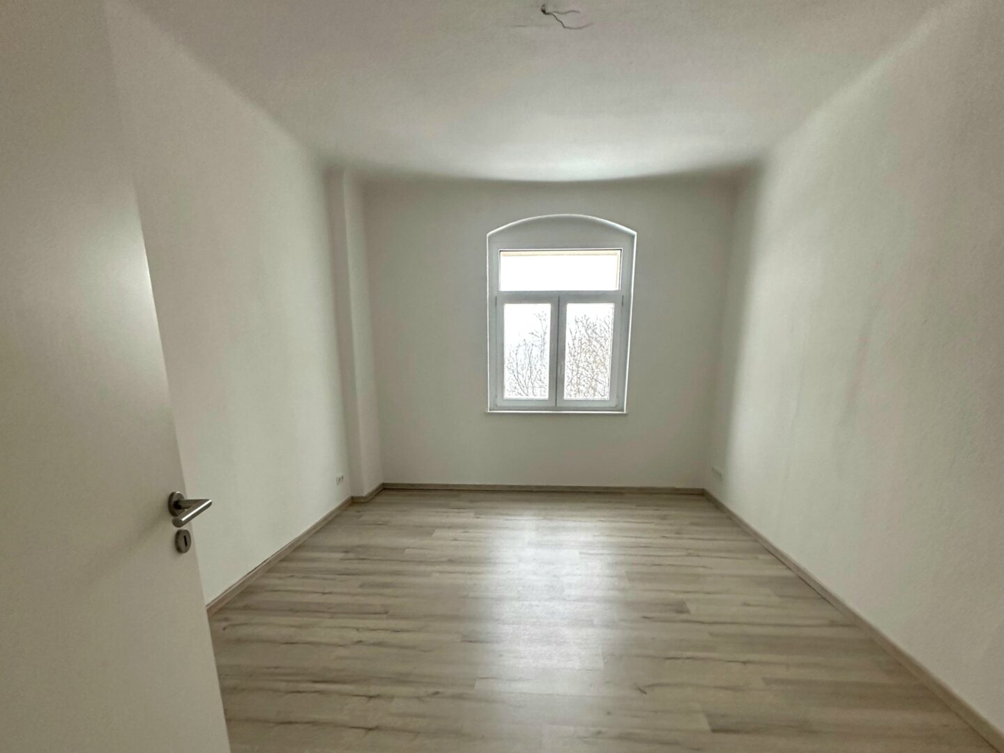 Wohnung Kesselsdorfer Straße in Dresden
