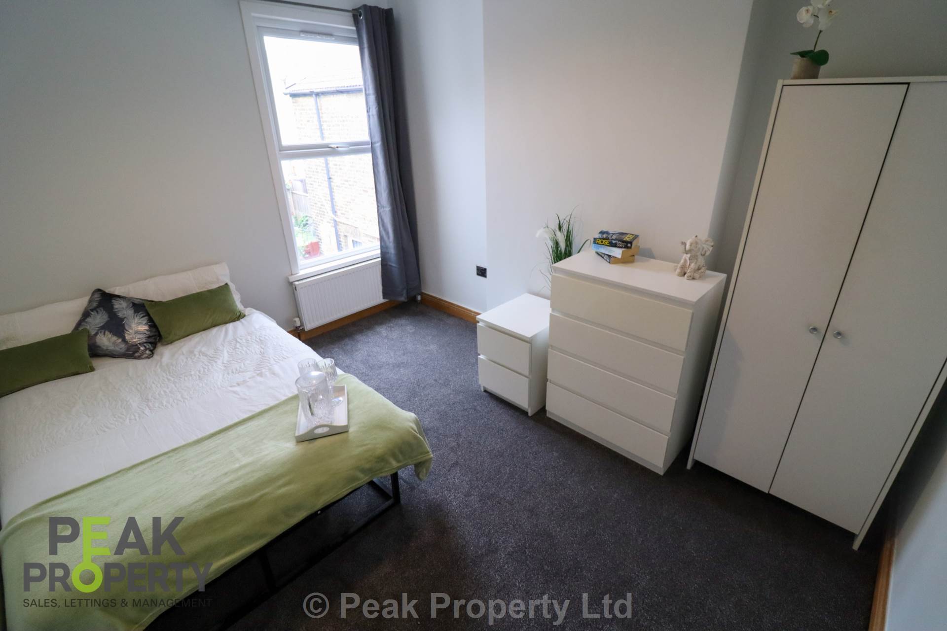 Room Napier Avenue in Southend-on-Sea