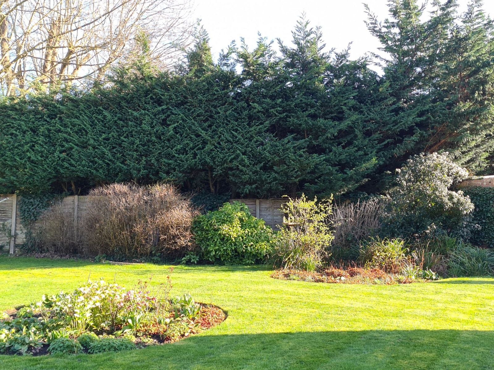 Flat Mill Close in Mole Valley