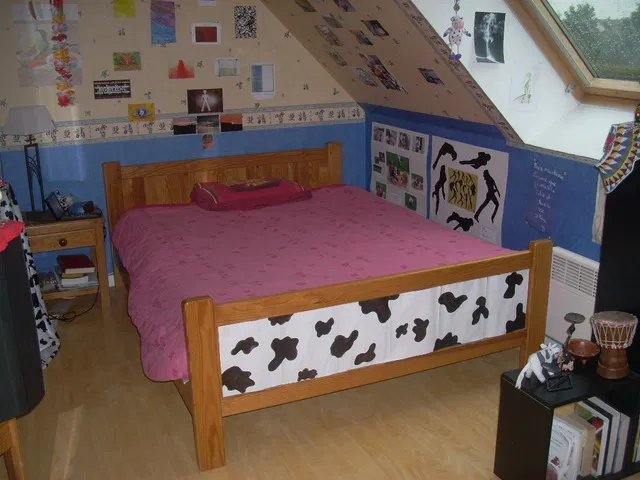Room Route des Durandières in Louplande