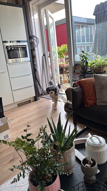 Appartement Blokkerhoek in Lelystad