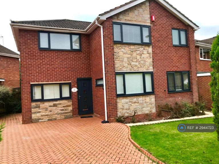 Room Paris Avenue in Newcastle-under-Lyme