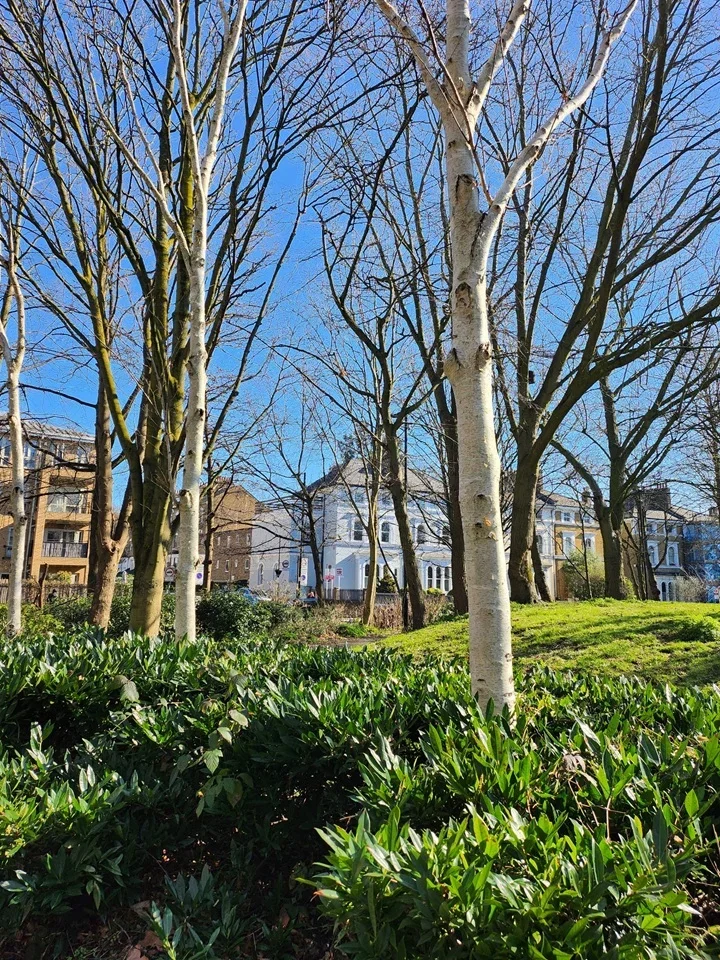 Flat Hornsey Road in Greater London