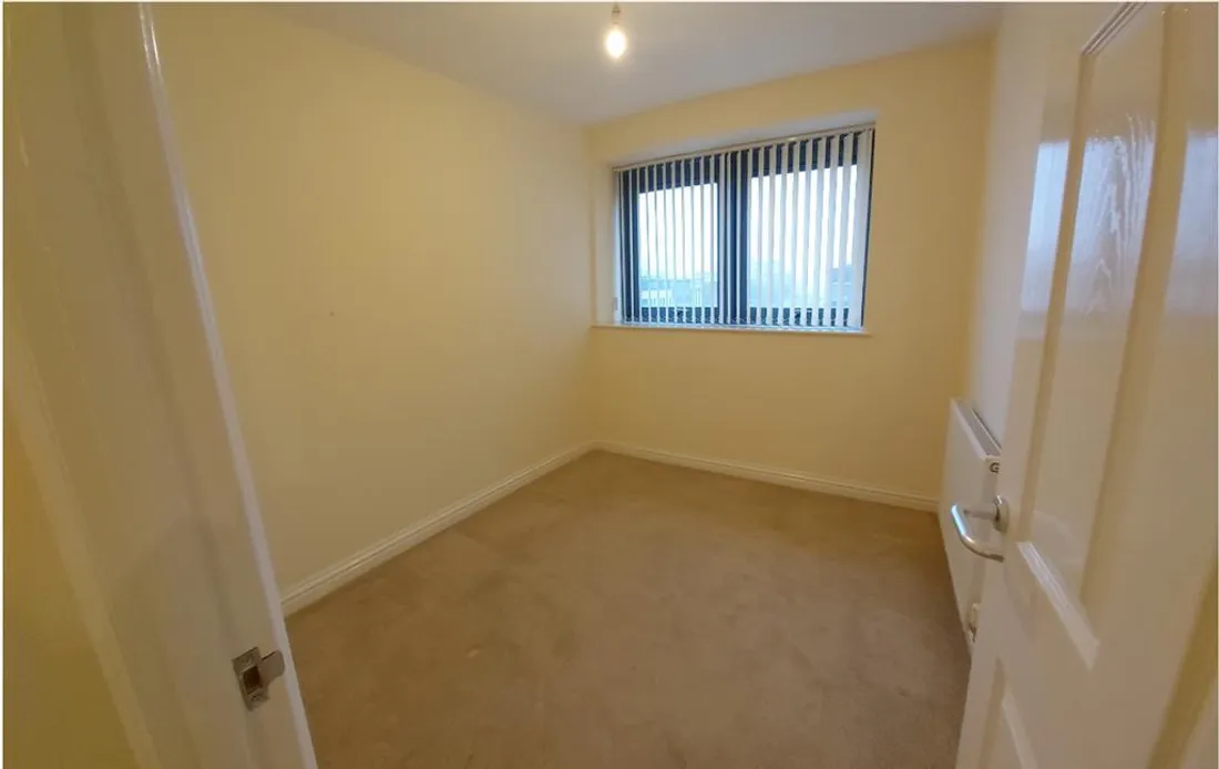 Flat Picton Lane in Swansea