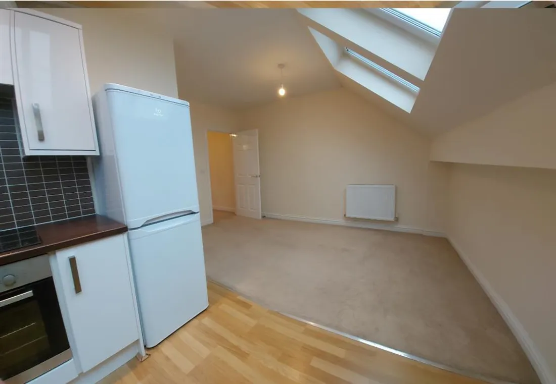 Flat Picton Lane in Swansea