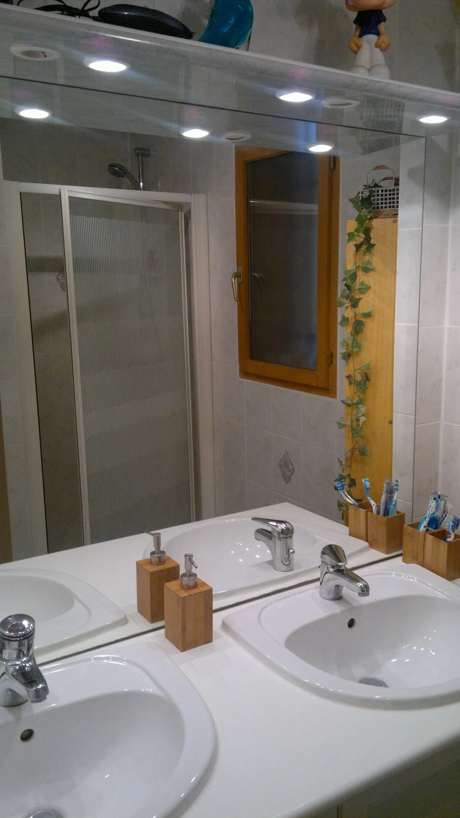 Room Chemin de Tinjod in Peillonnex