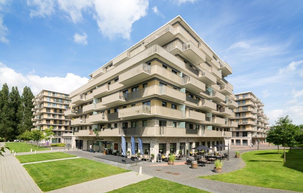 Laan Van De Helende Meesters