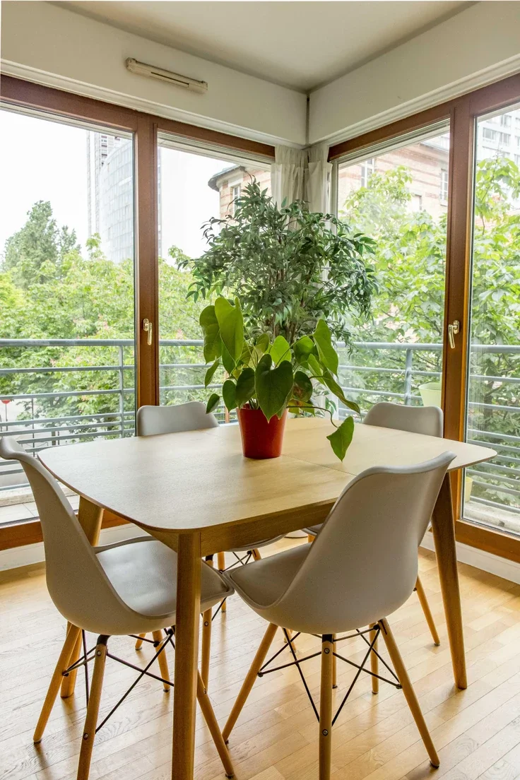 Appartement Rue Rouelle à Paris