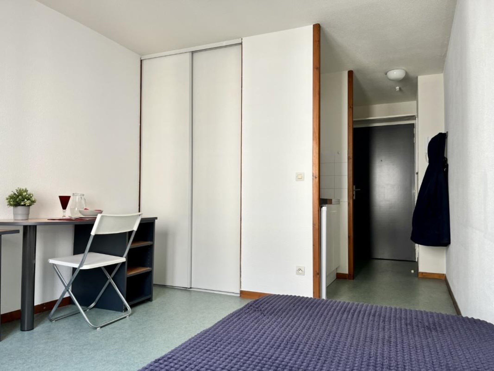 Appartement Rue Antoine Durafour à Saint-Étienne