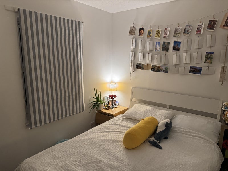 Room St Leonard's Street in City of Edinburgh