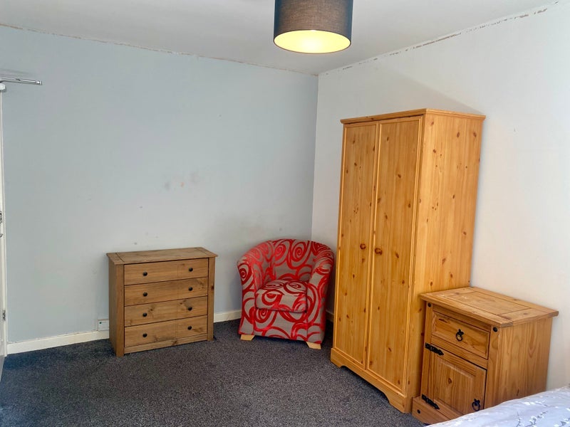 Room Bunny Walk in Chelmsford