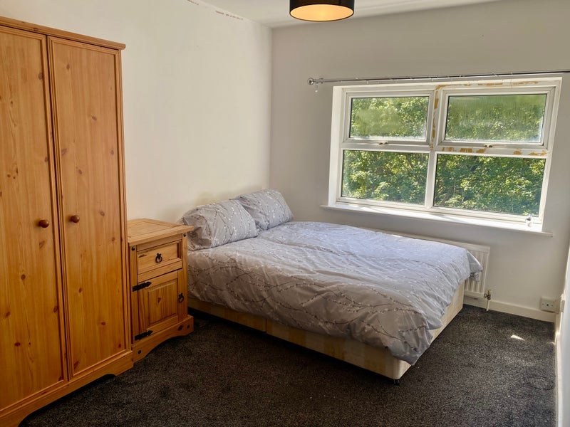 Room Bunny Walk in Chelmsford
