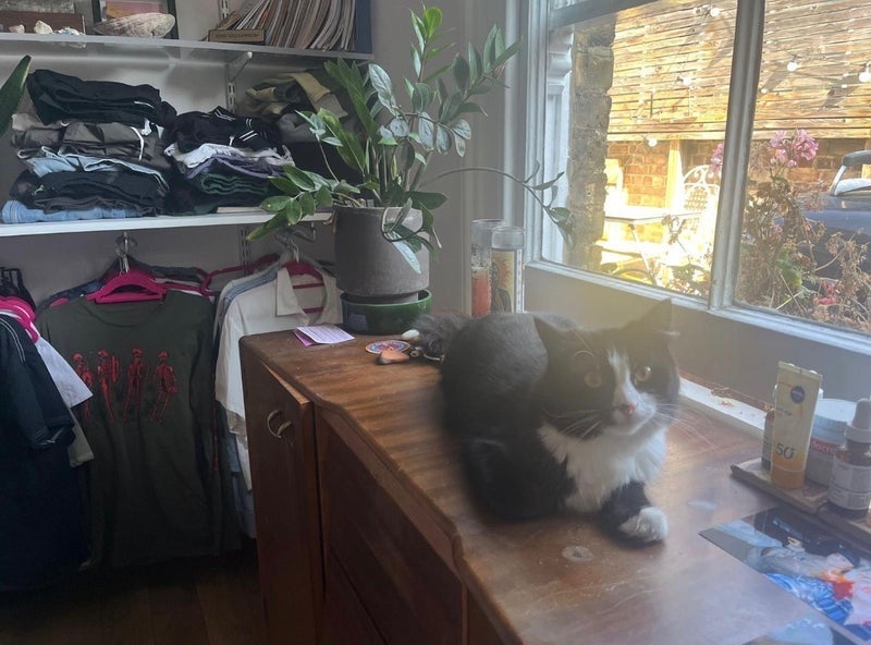 Room Stoke Newington Church Street in Greater London