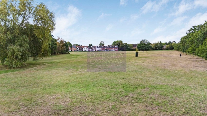 Flat Coppice Row in Epping Forest