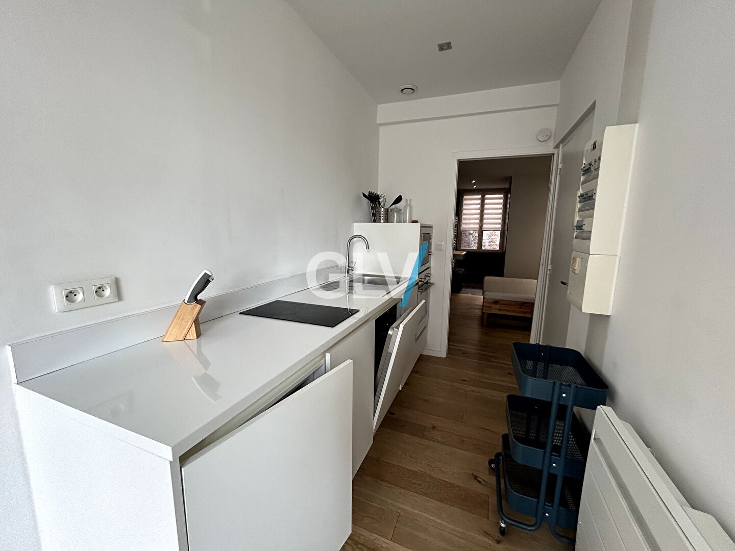 Appartement Rue Camille Guérin à Lille