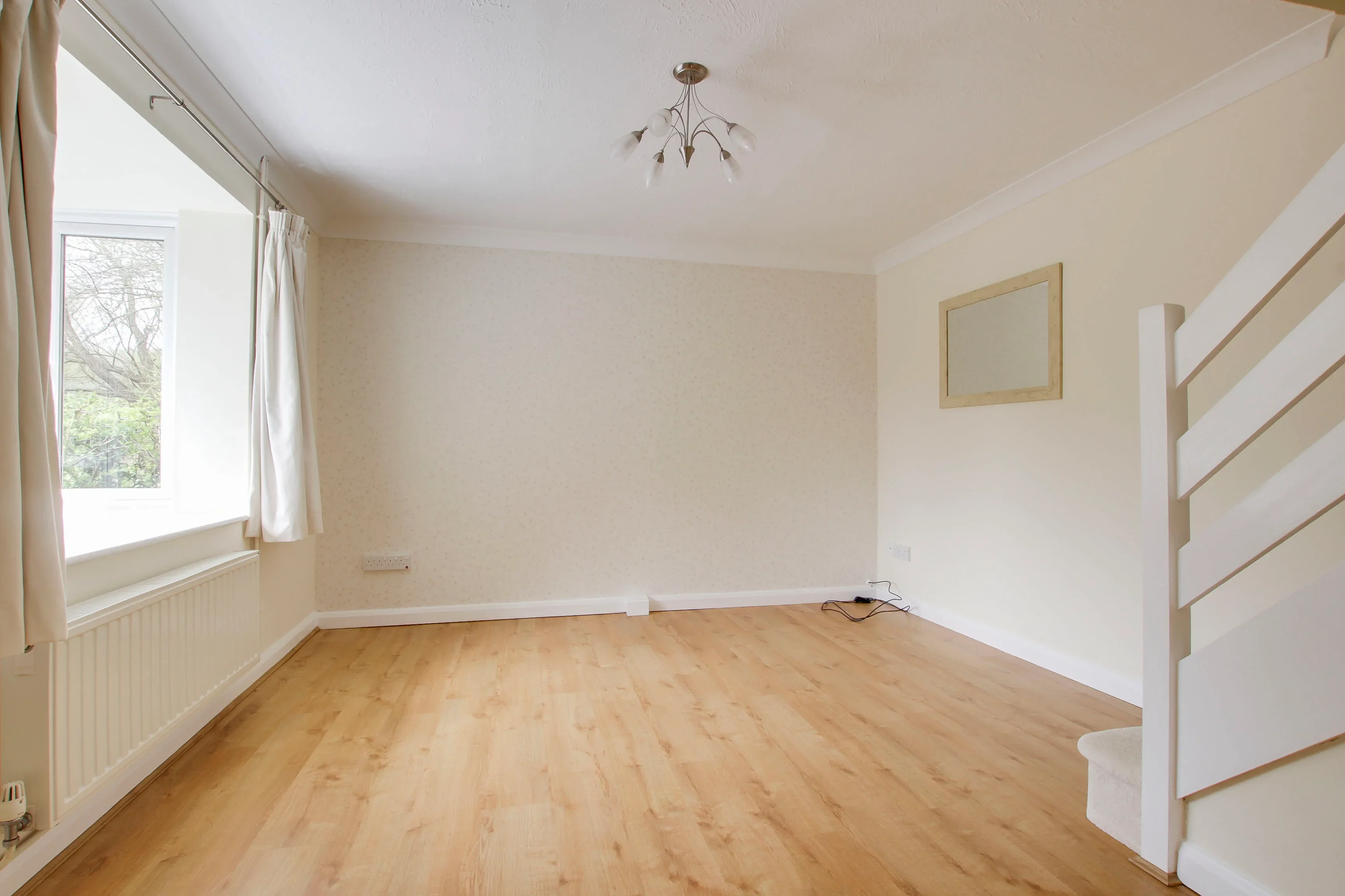 House Muntjac Close in Huntingdonshire