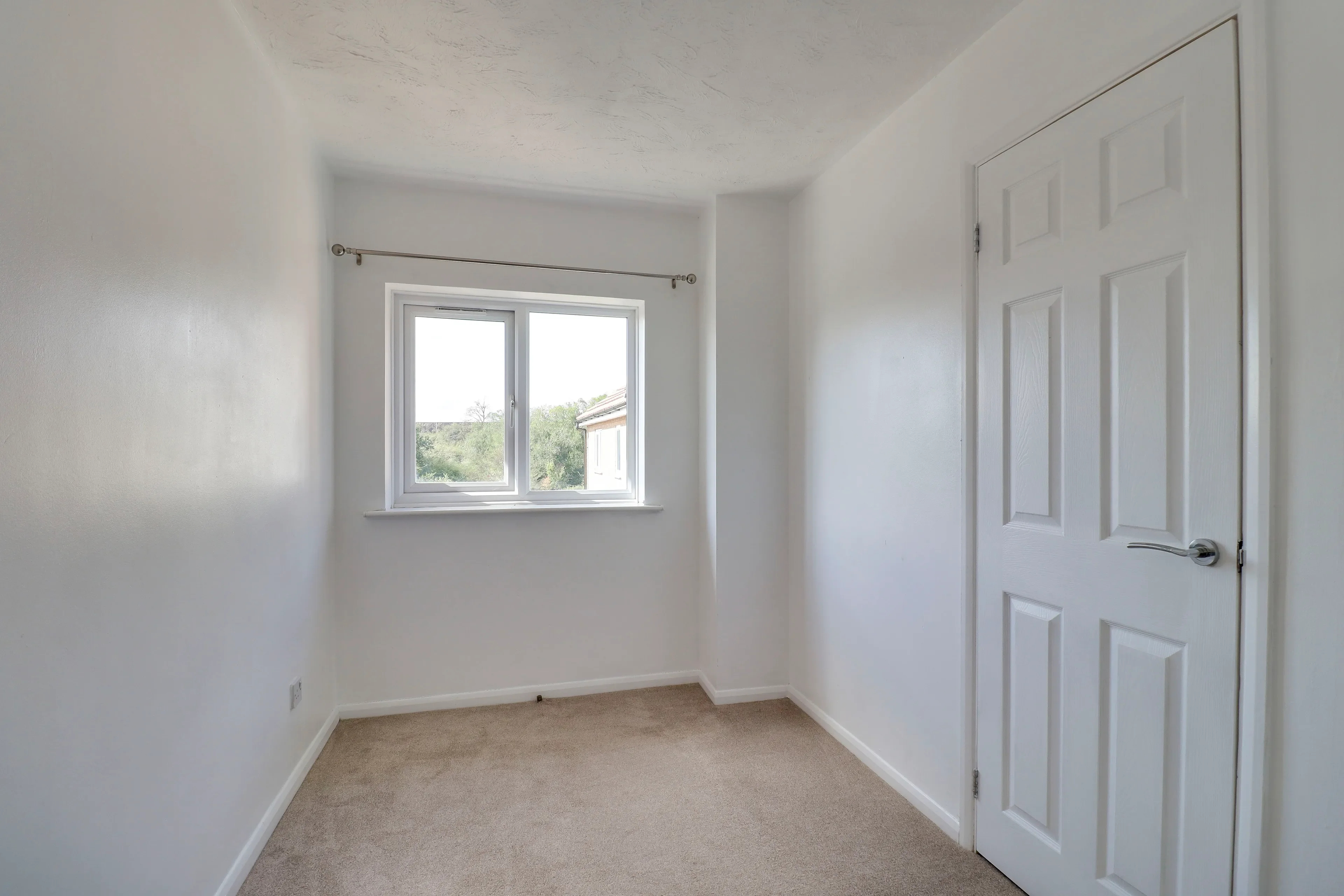 House Muntjac Close in Huntingdonshire