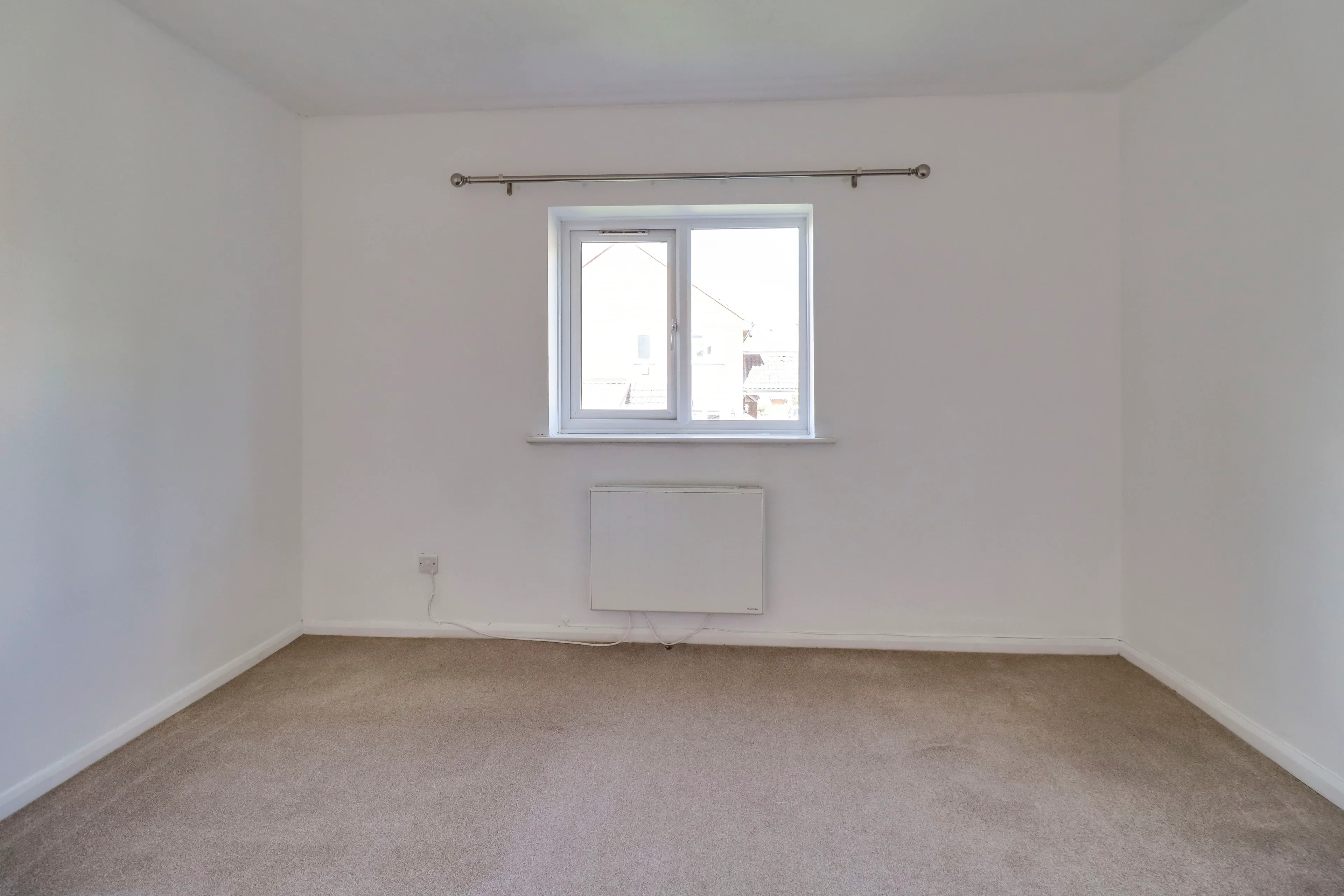 House Muntjac Close in Huntingdonshire