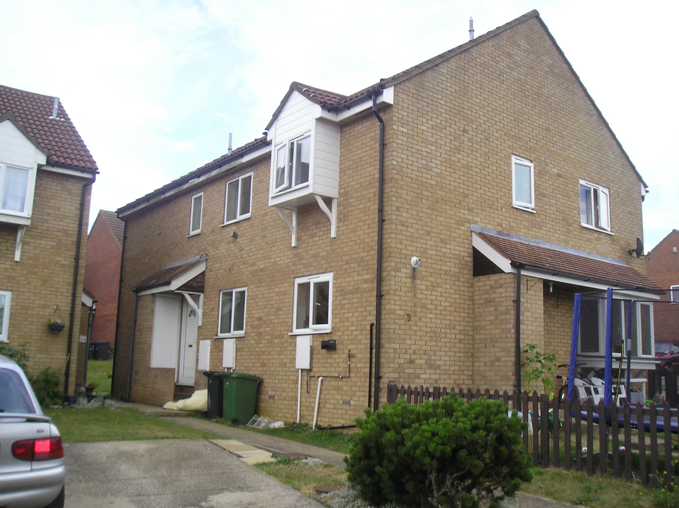 House Muntjac Close in Huntingdonshire
