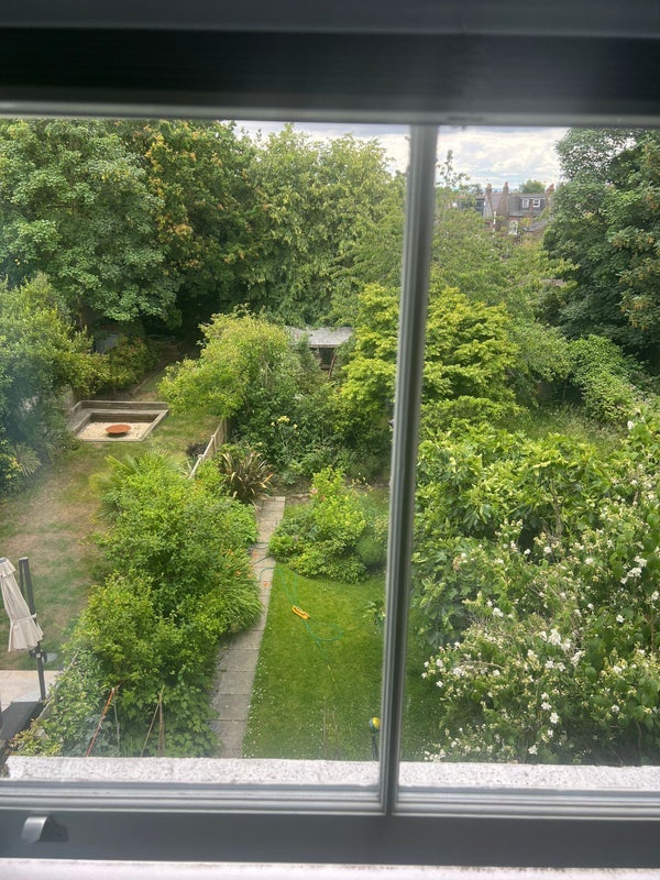 Room Wrentham Avenue in Greater London