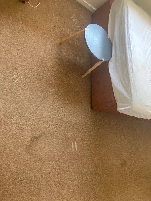 Room Perrymans Close in Bristol