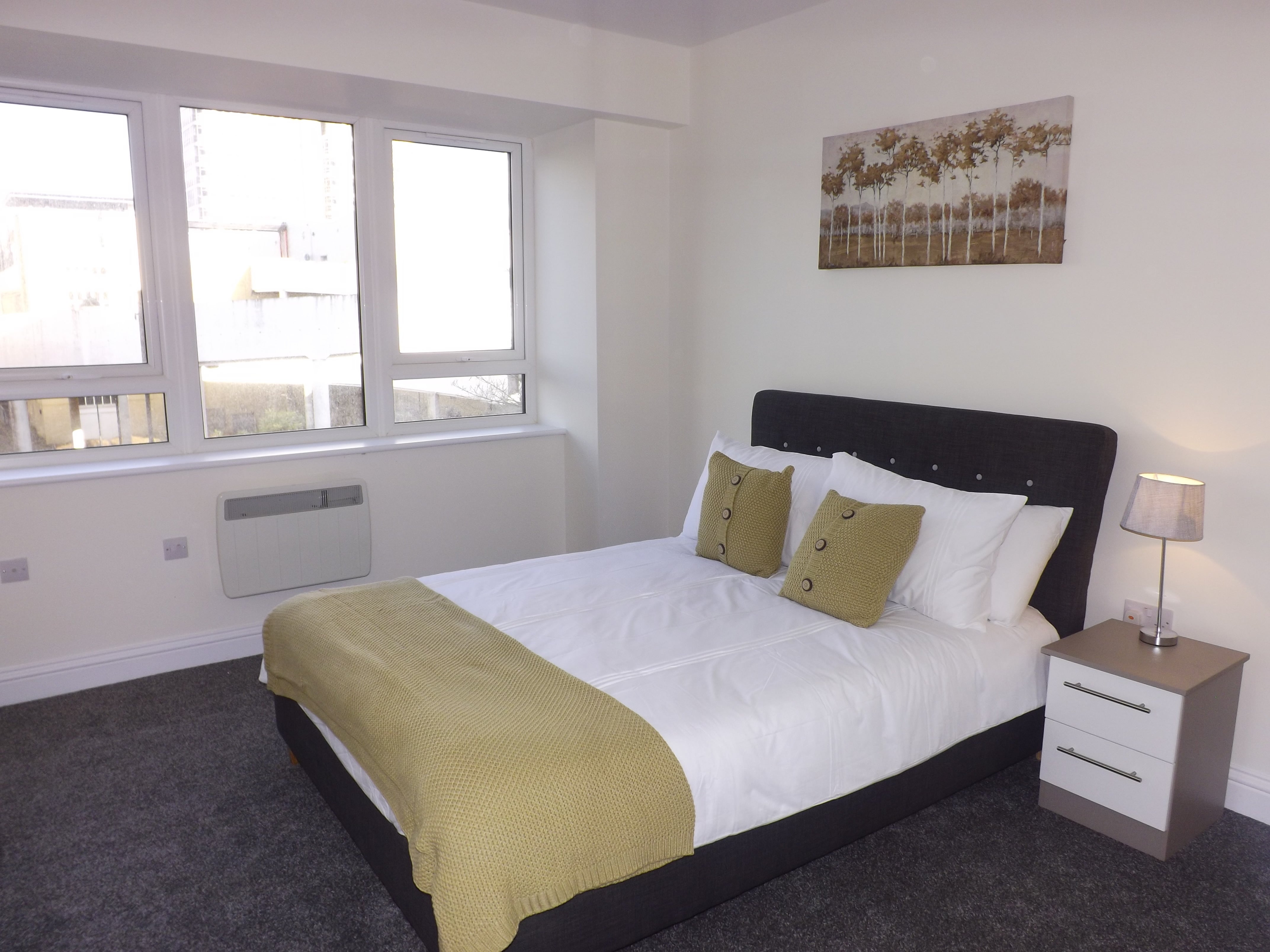 Flat Farnsby Street in Swindon