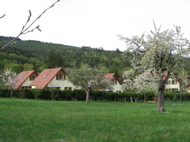Maison Rue du Haut-Kœnigsbourg à Thannenkirch