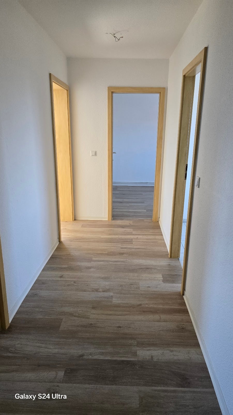 Wohnung Am Elbufer in Wittenberg